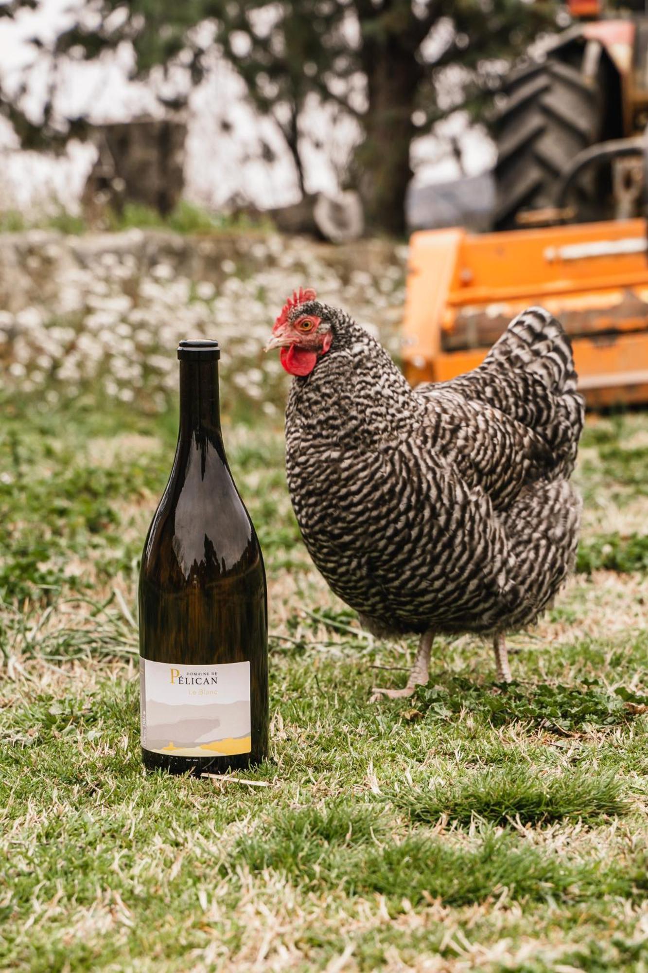 Domaine De Pelican Gignac  Esterno foto