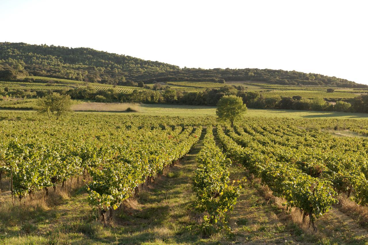 Domaine De Pelican Gignac  Esterno foto